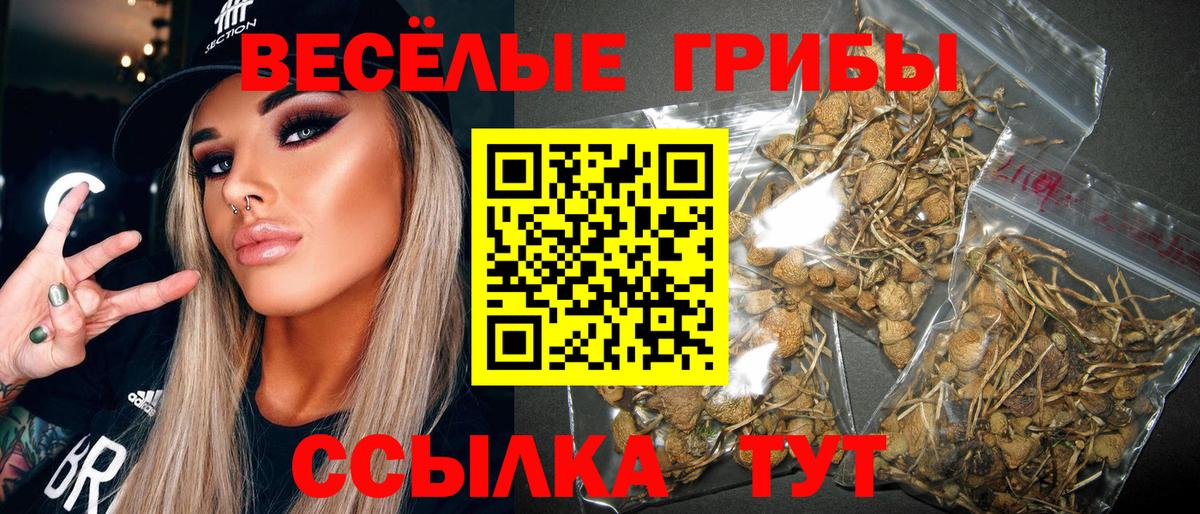 Псилоцибиновые грибы ЛСД Беслан