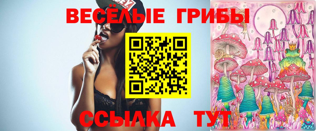 Беслан  Галлюциногенные грибы Psilocybe  Вход с VPN 